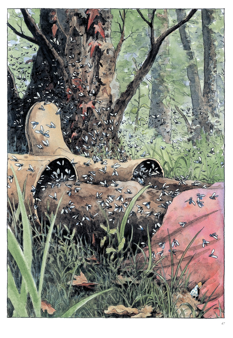 Illustration for article titled In Beautiful Darkness, a fairy tale life is inextricably tied to death